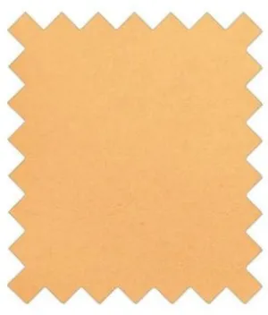 Tuscan Sun Wedding Swatch